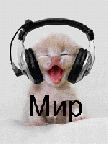 Мир аватар